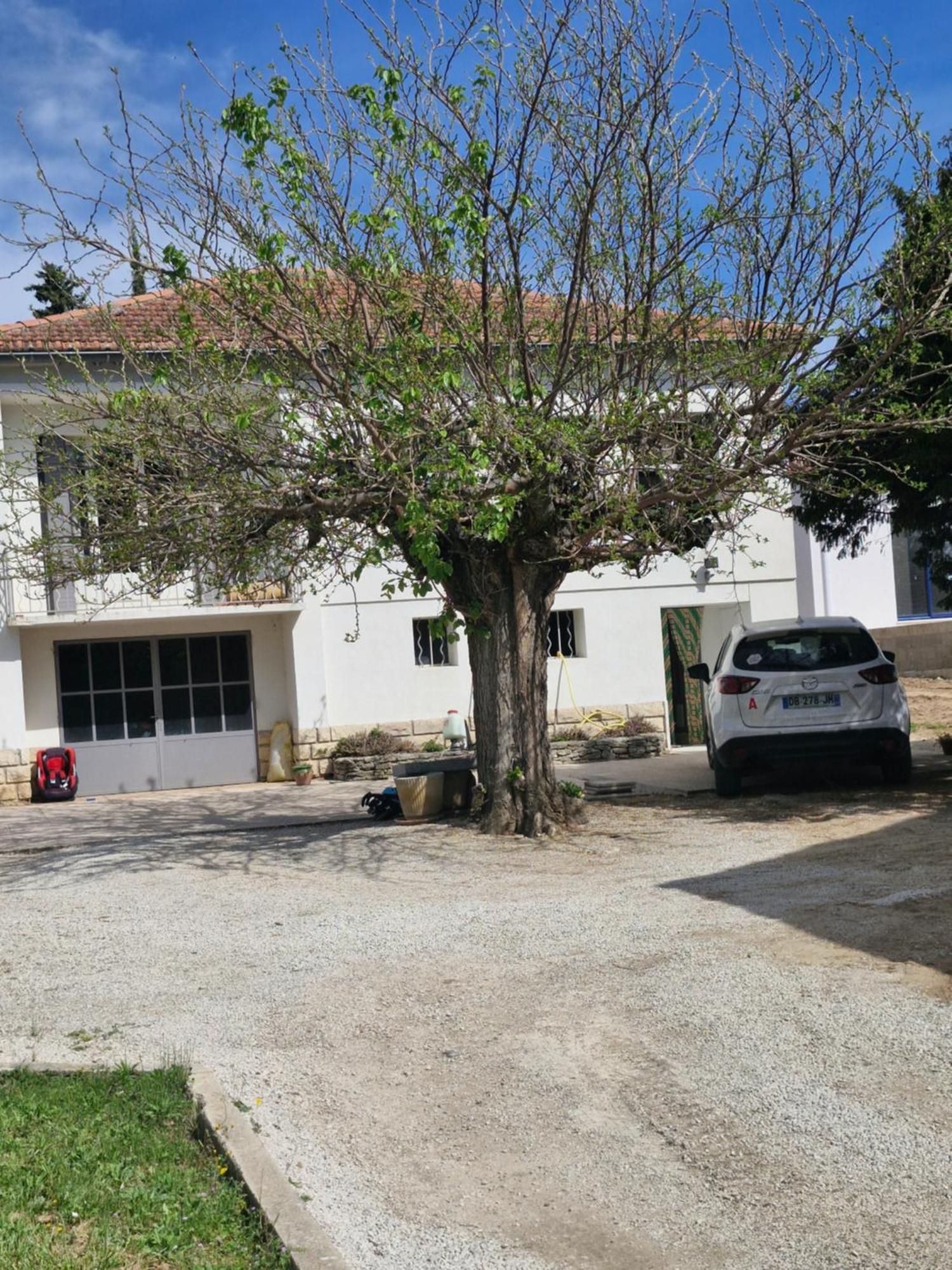 Maison Le Murier Aubignan Ngoại thất bức ảnh